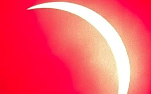 Photo From FBAC Mini Astronomy On Wheels - 2024 Total Solar Eclipse - LoneHollow Ranch