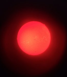 Photo From Solar Sundays at Martin Park Nature Center