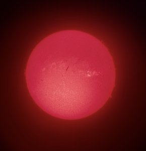 Photo From Solar Sundays at Martin Park Nature Center