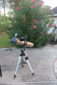 Photo From Barbara Bush Nature Center