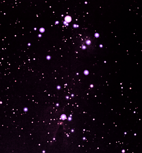 Photo From Garvey Nights